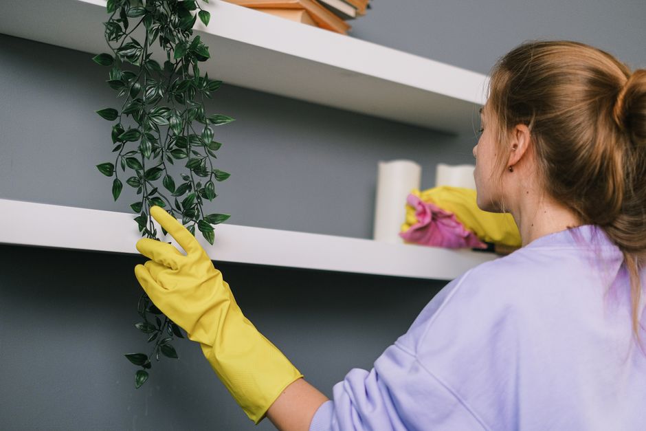 Back view of unrecognizable young woman in casual clothes and protective gloves wiping she