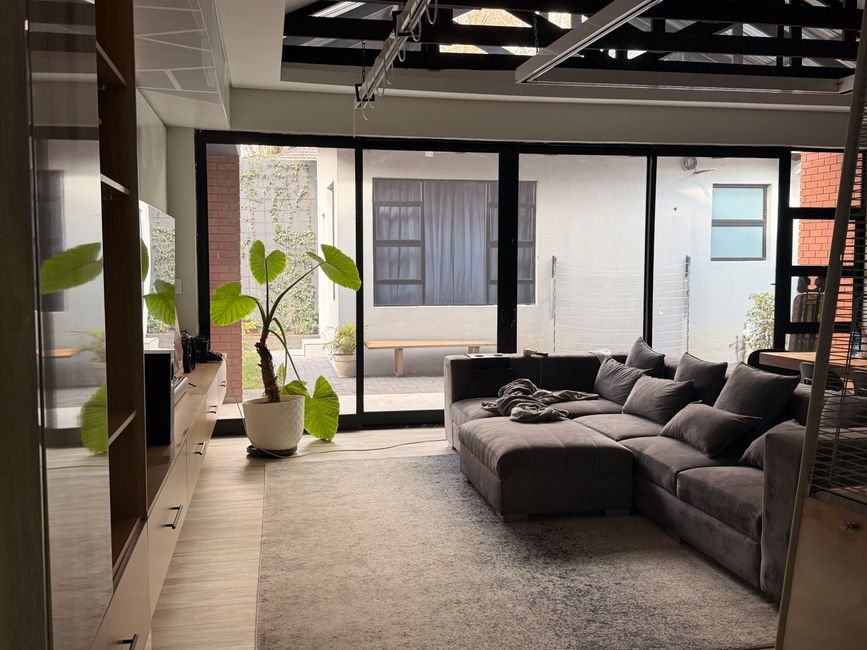 A modern living room featuring a gray sectional sofa, large windows, and a vibrant indoor plant.