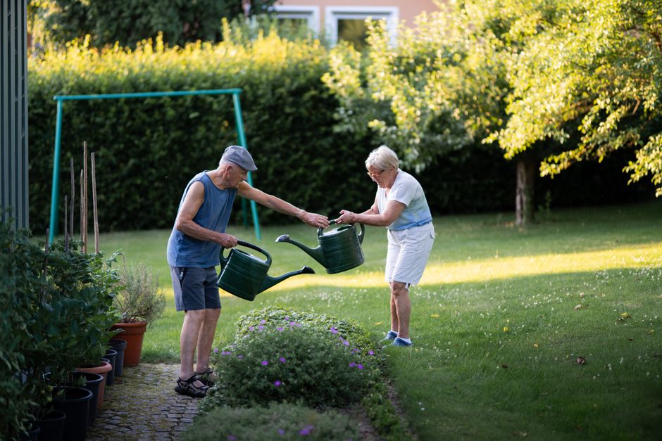 5 Plant Watering Routines That Survive Busy Weeks