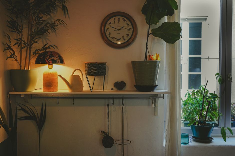 Warm, inviting interior shelf arrangement with plants, lamp, and decor in Nîmes, France.