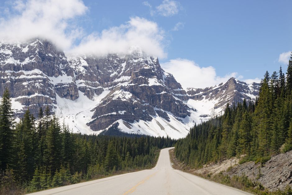 A picturesque mountain road leading through a snow-capped forest under a clear blue sky.