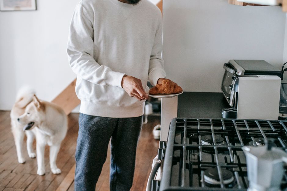 Crop anonymous male owner in casual outfit holding plate with fresh yummy croissant while standing in kitchen near adorable Akita Inu dog