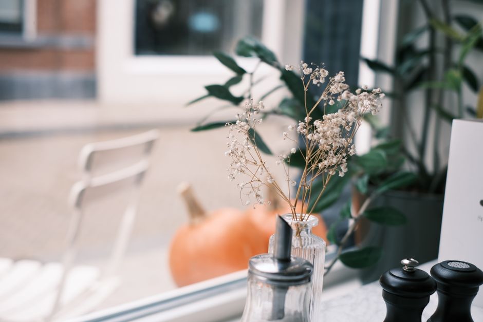 A quaint café window view featuring dried flowers and a pumpkin, hinting at autumn vibes.