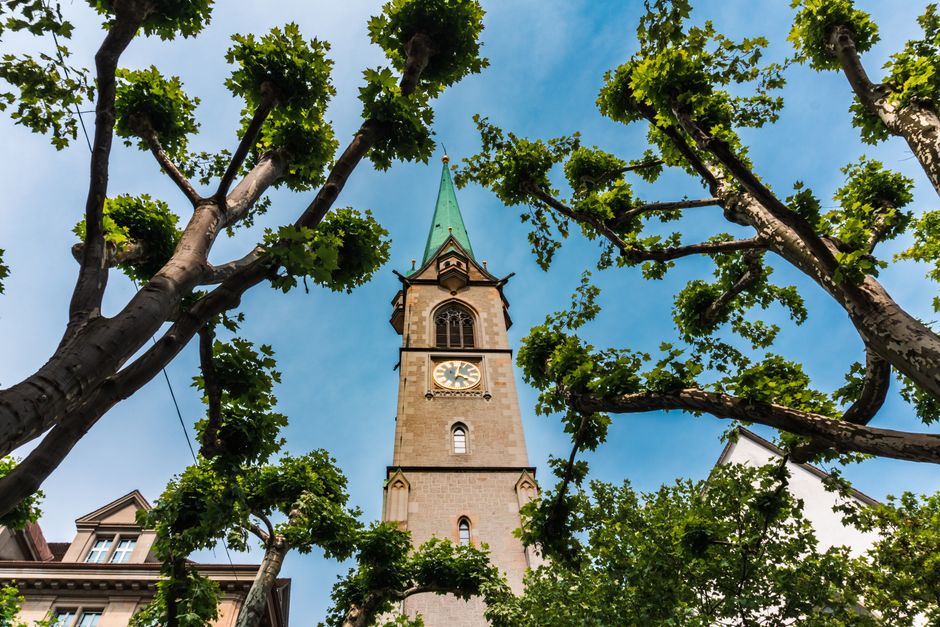A captivating upward view of St. Peter's Church surrounded by lush trees in Zurich, Switzerland.